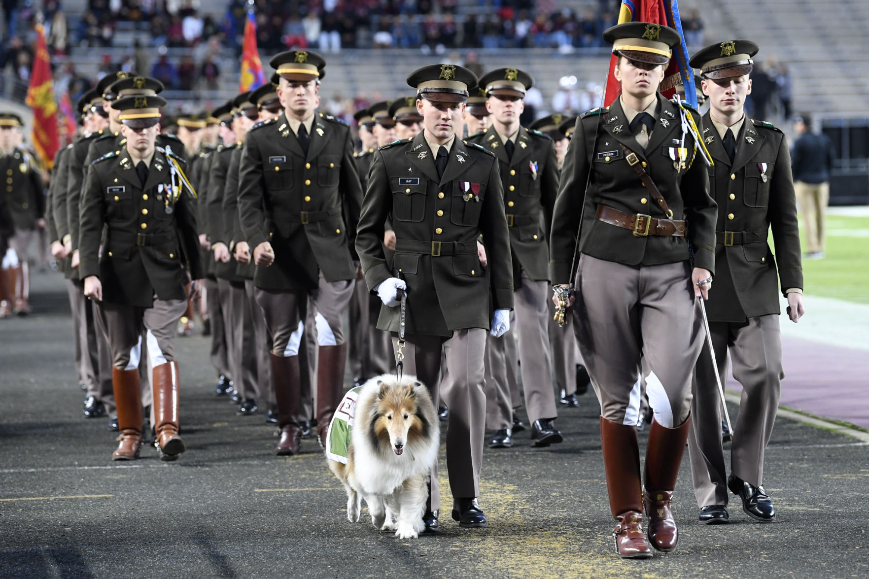 Texas A&M vs. South Carolina